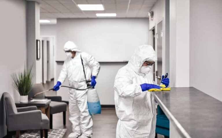 Why Choose Professional Disinfectant Cleaning Services